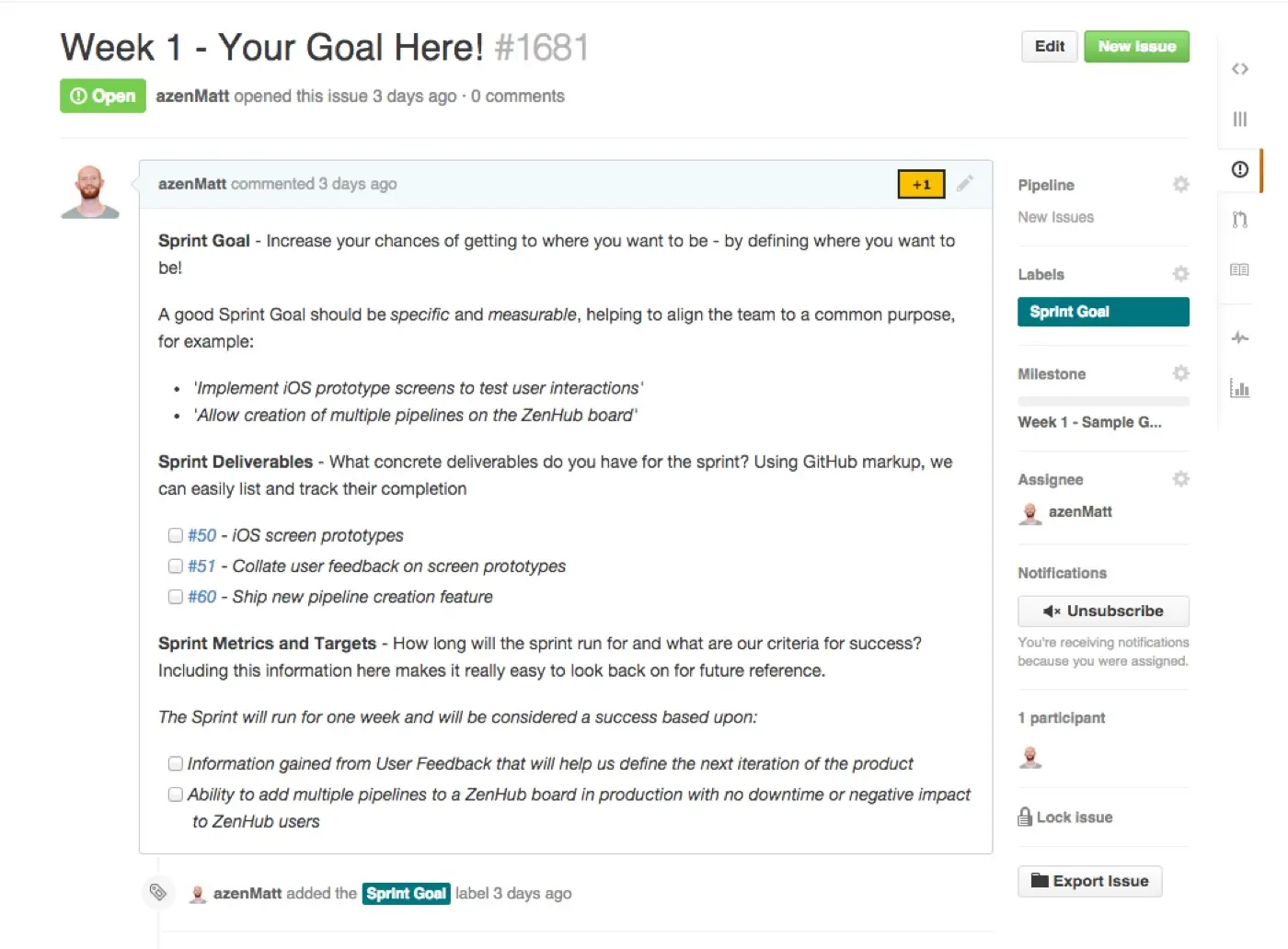 Sprint issue example with goals